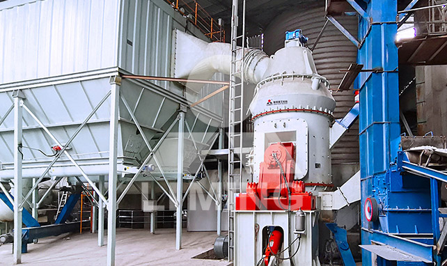 Installation de broyage vertical à grande échelle pour la chaux vive